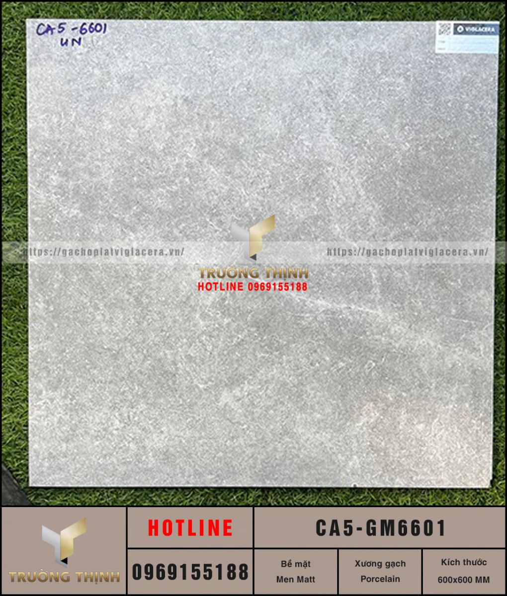 Gạch Granite Vân Đá Màu Ghi Sáng 600x600 Viglacera CA5-GM6601 Giá Tốt