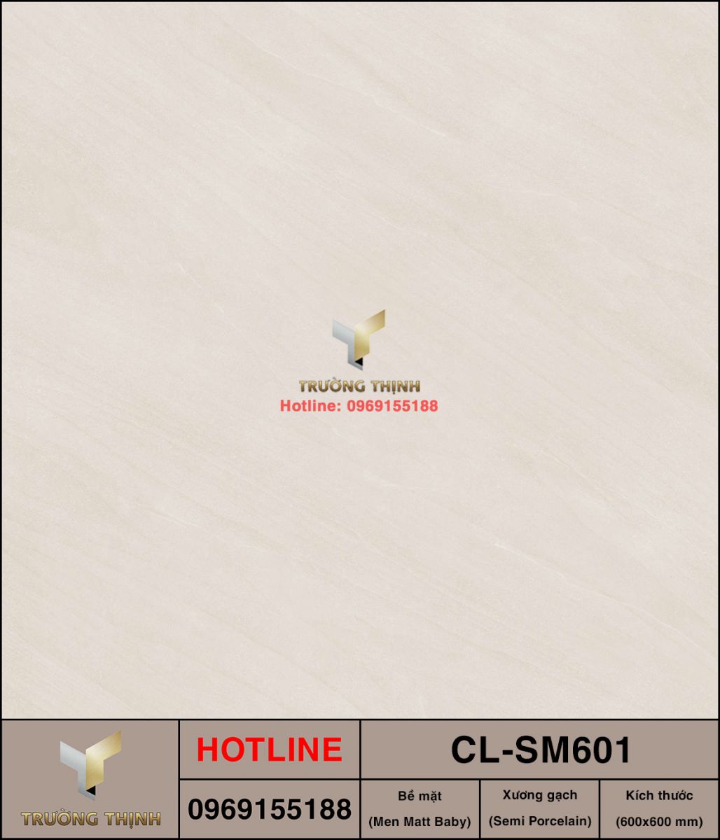 Gạch lát nền 600x600 Viglacera Cửu Long CL-SM601 ảnh mẫu