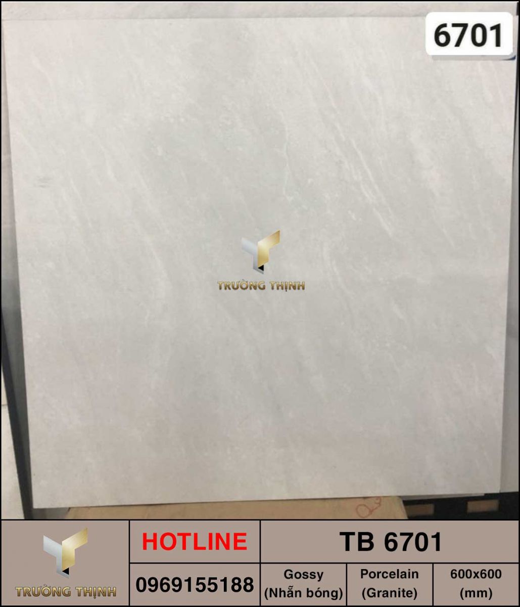 Gạch lát nền 600x600 Viglacera TB 6701 giá rẻ