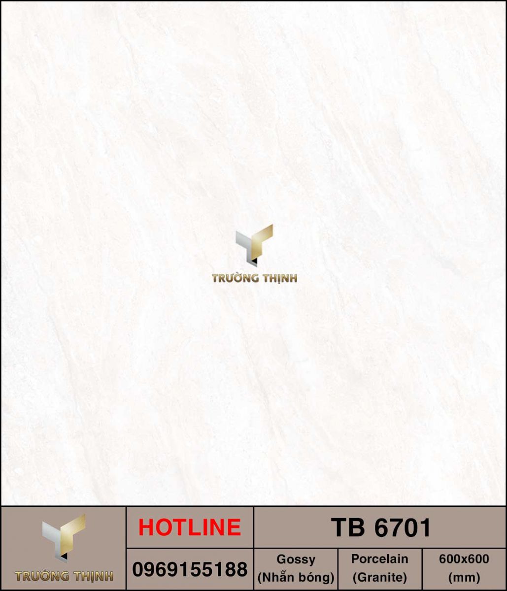 Gạch lát nền 600x600 Viglacera TB 6701