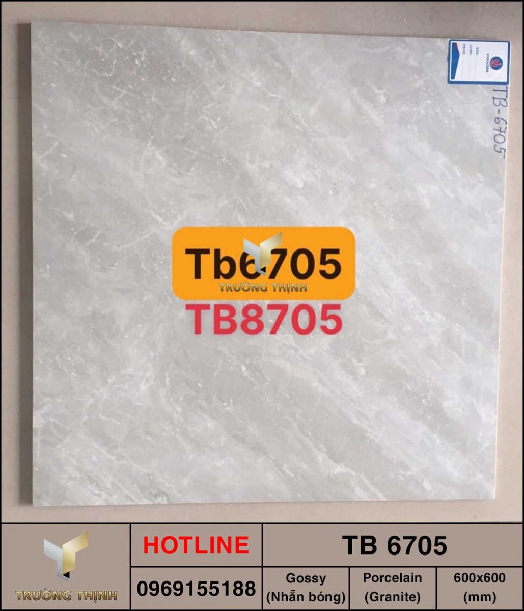 Gạch lát nền 600x600 Viglacera TB 6705 cao cấp