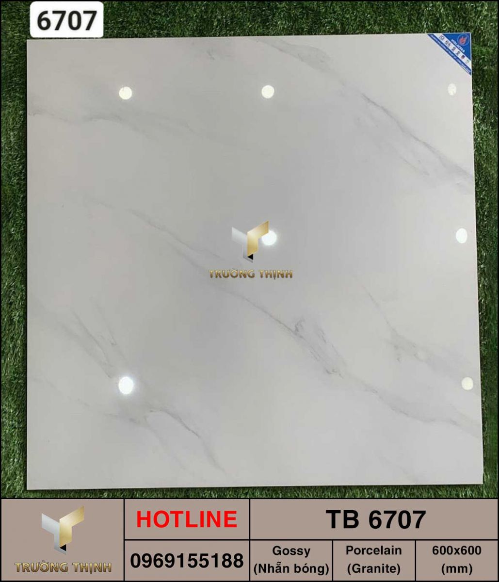 Gạch lát nền 600x600 Viglacera TB 6707 giá rẻ