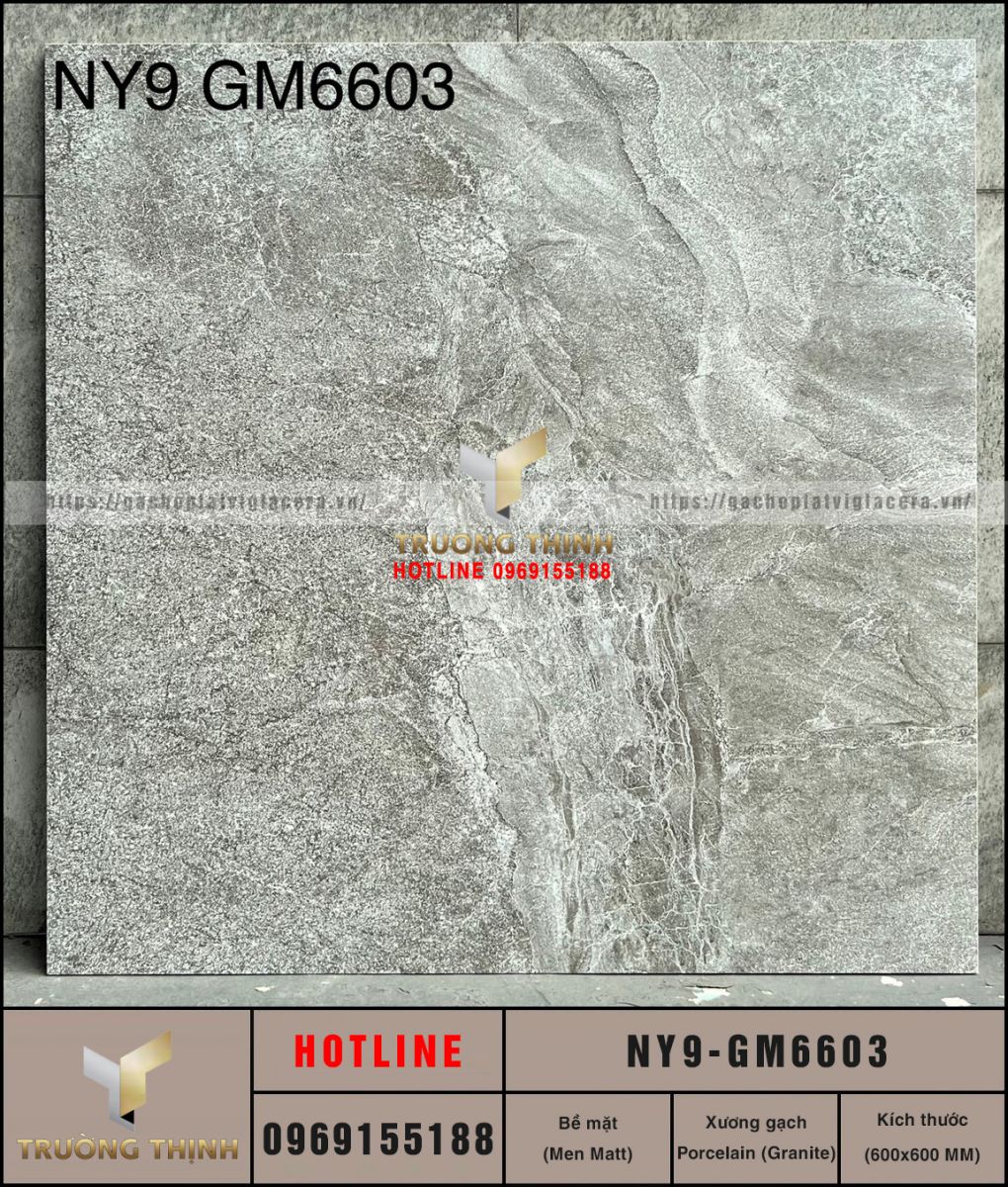 Gạch Viglacera NY9-GM6603 600x600: Chống Trơn, Màu Xám Sang Trọng
