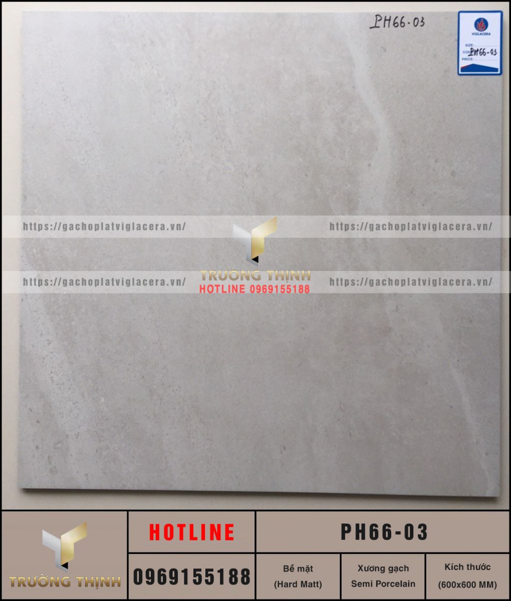 Gạch Viglacera Platinum PH66-03 | Lát Nền Chống Trơn 600x600 Cao Cấp