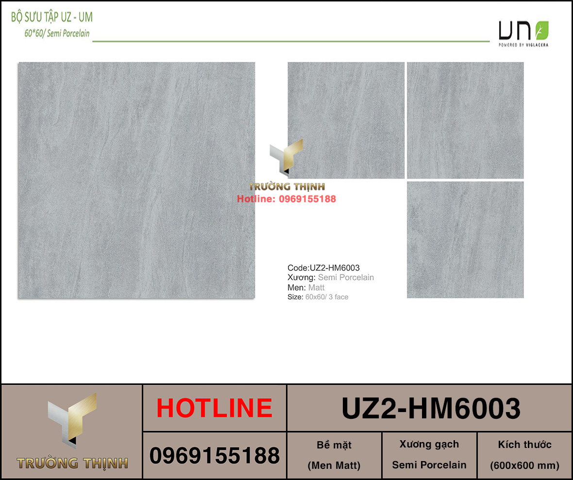 Gạch lát nền 600x600 Viglacera UZ2-HM6003