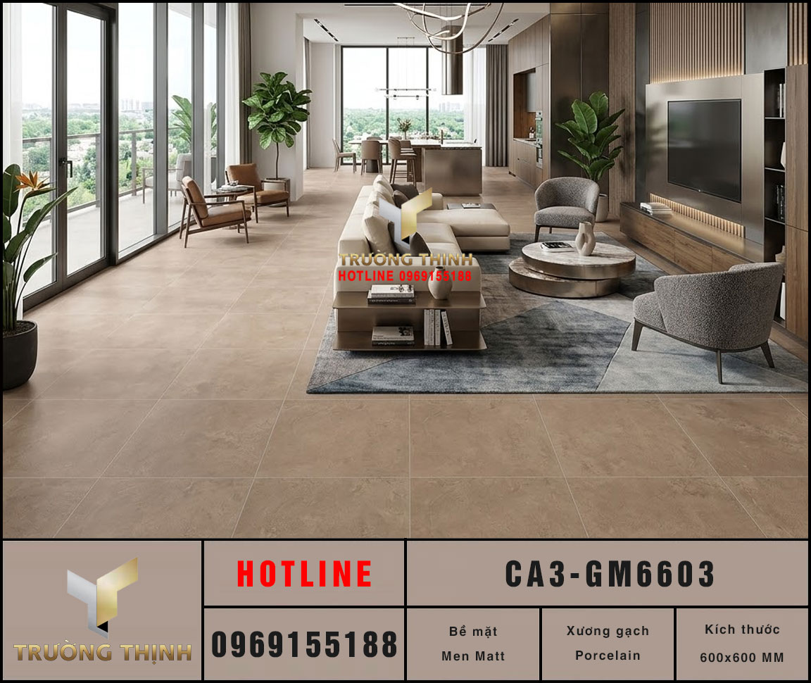 Gạch lát nền chống trơn vân xi măng 600x600 Viglacera CA3-GM6603 Chính Hãng