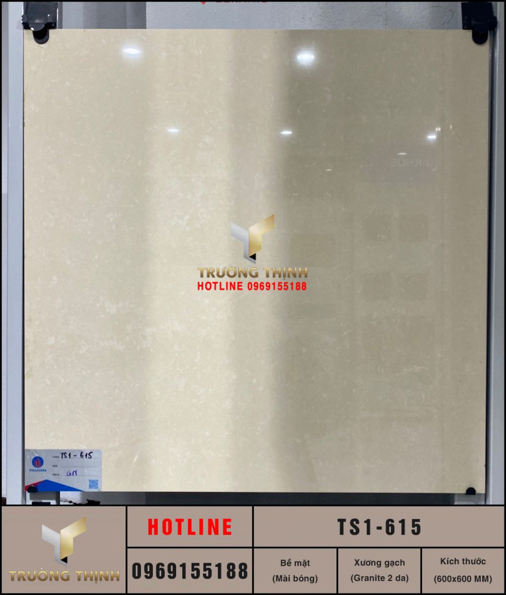 Gạch lát nền đồng chất 2 da 600x600 Viglacera TS1-615 giá rẻ