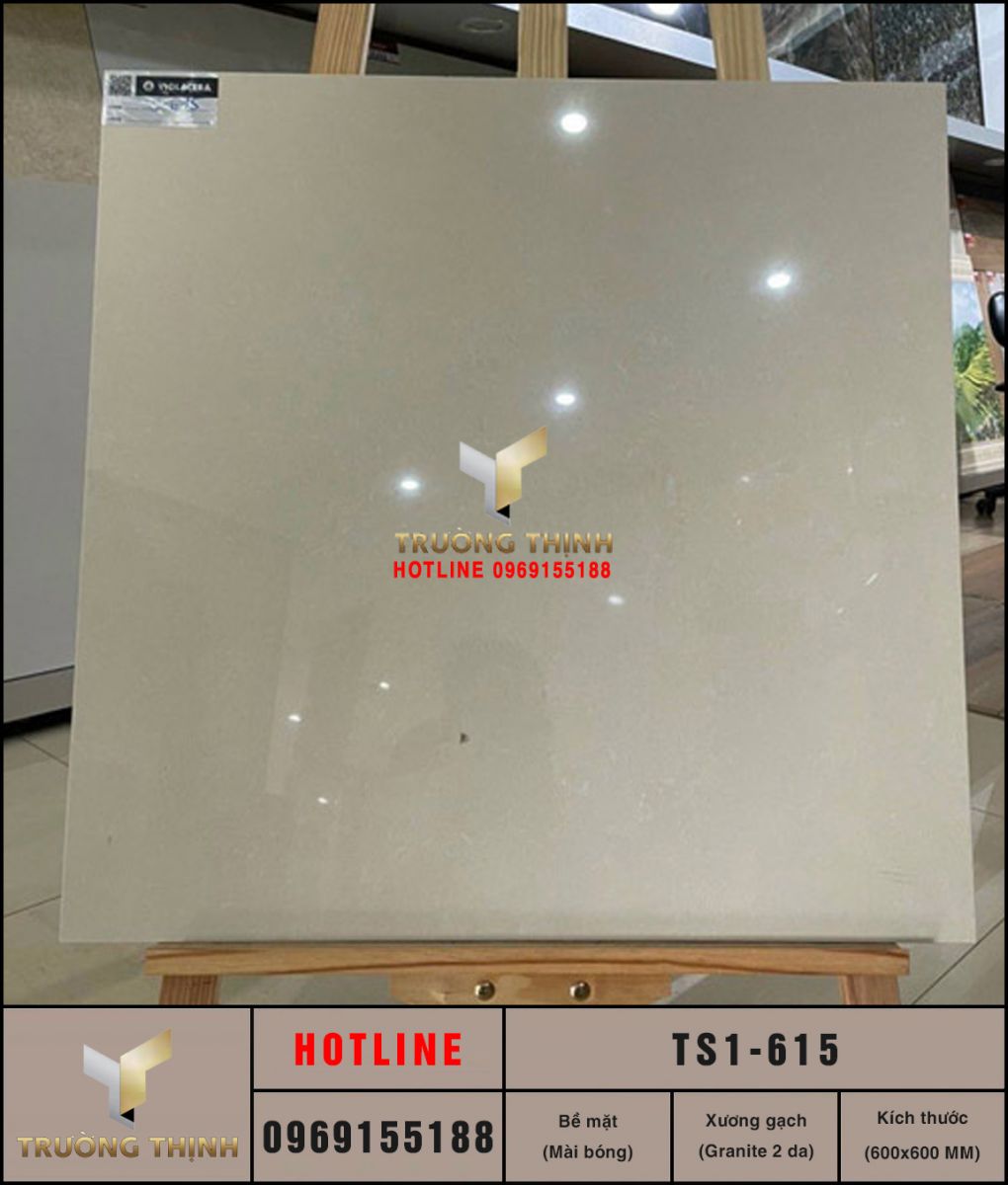Gạch lát nền 600x600 Viglacera TS1-615