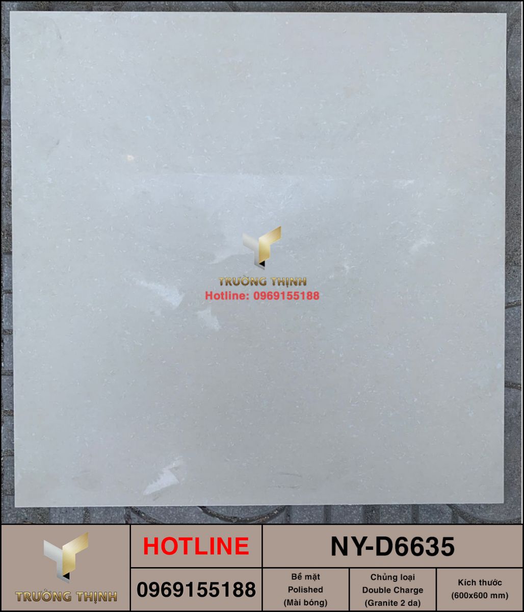 Gạch Lát Nền Granite 2 Da 600x600 Viglacera NY-D6635 Chính Hãng | Trường Thịnh