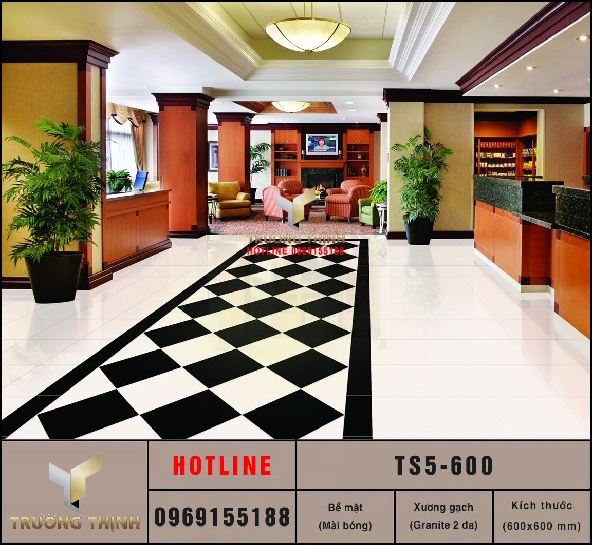 Gạch lát nền granite 2 da Viglacera TS5-600: Sang trọng, bền đẹp và chất lượng