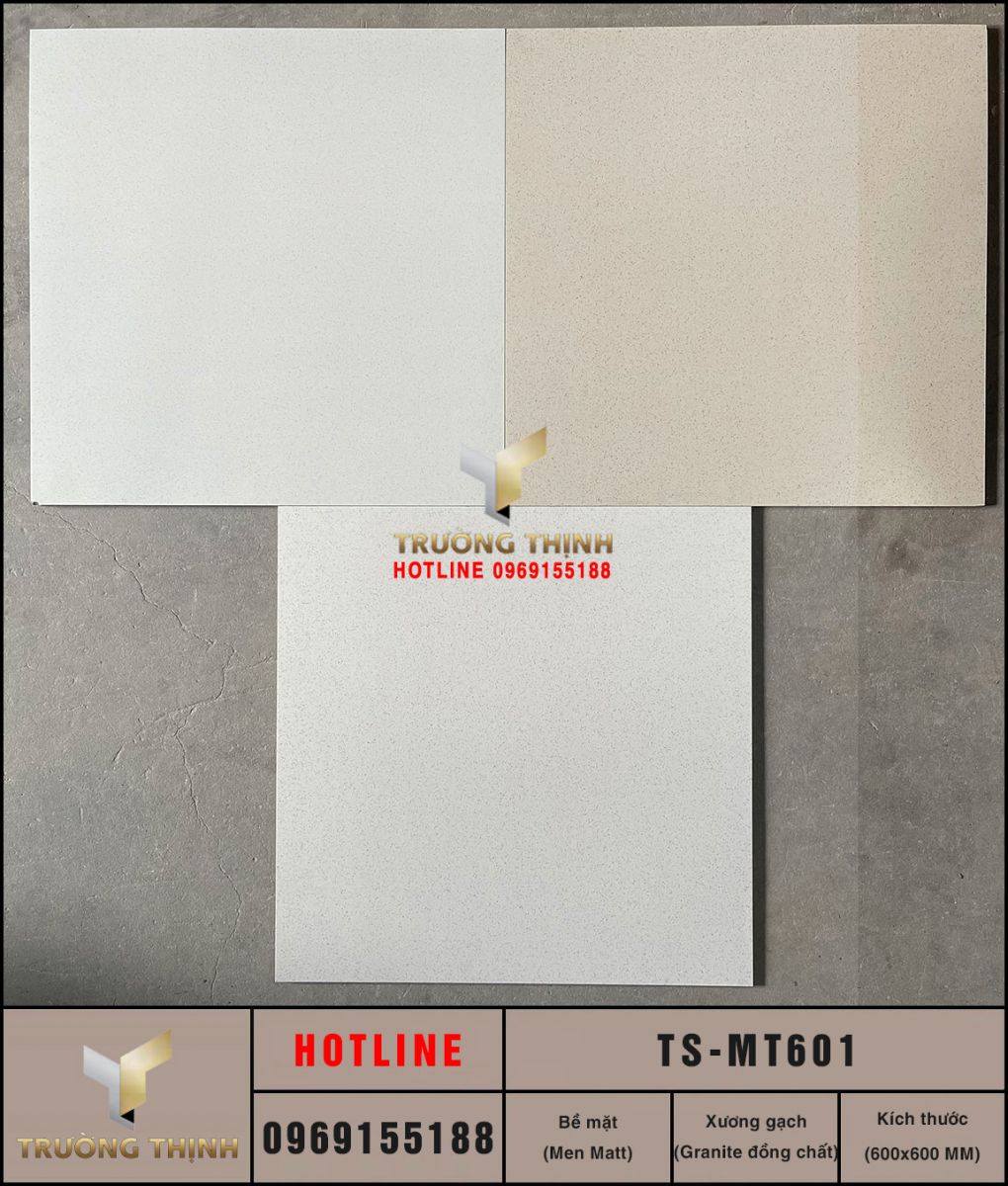 Gạch lát nền 600x600 Viglacera TS-MT601