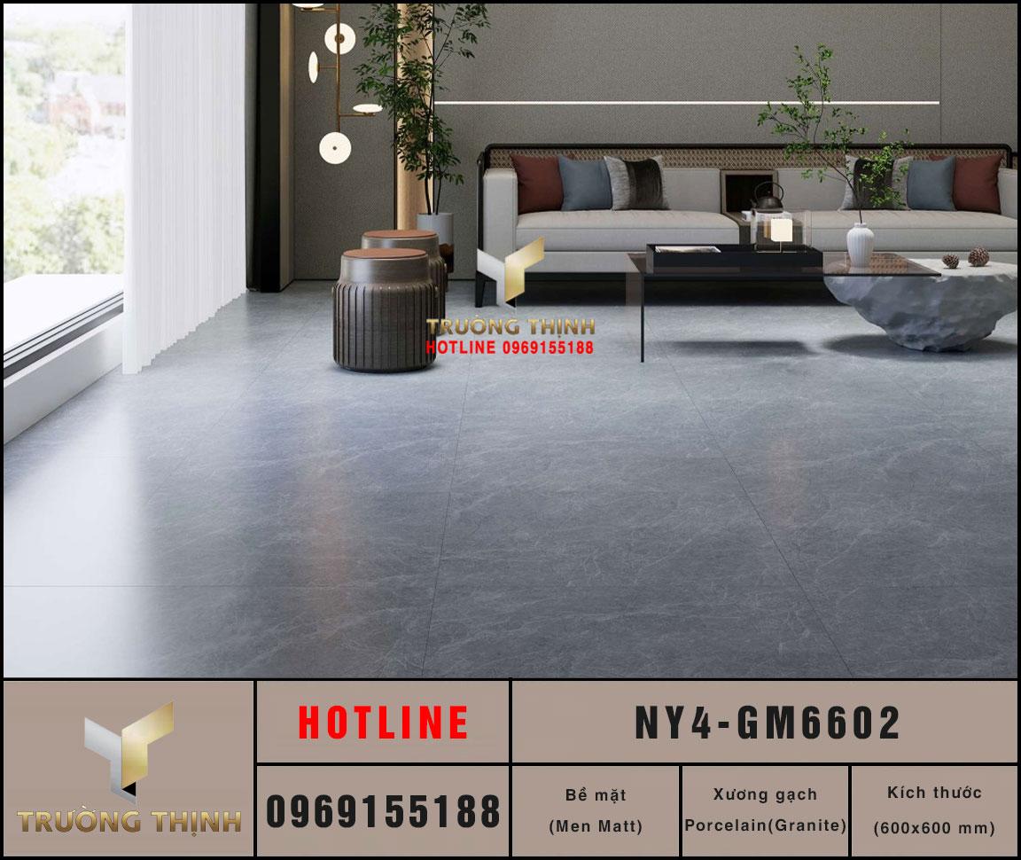 Gạch lát nền Viglacera NY4-GM6602 600x600 Granite Men Khô Xám
