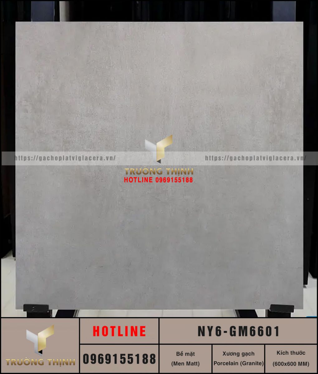 Gạch Viglacera NY6-GM6601 600x600 Vân Xi Măng | Giá Tốt Tại Trường Thịnh
