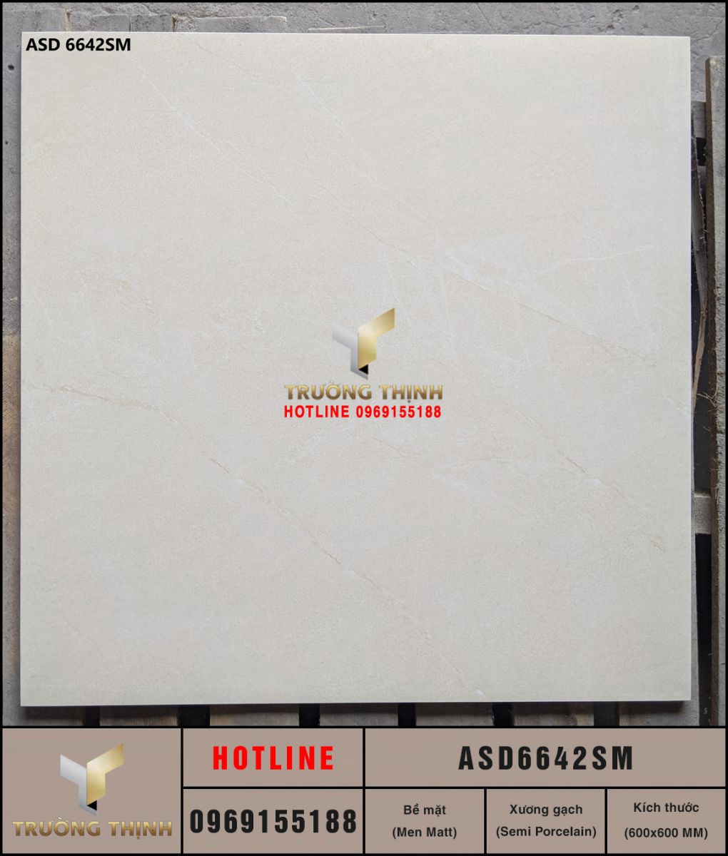 Gạch lát nền men Matt 600x60 Viglacera ASD6642SM giá rẻ
