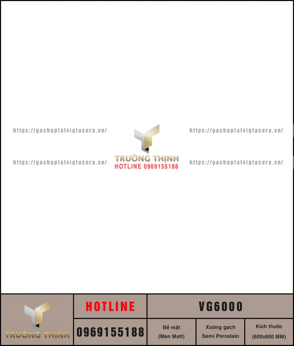 VG6000