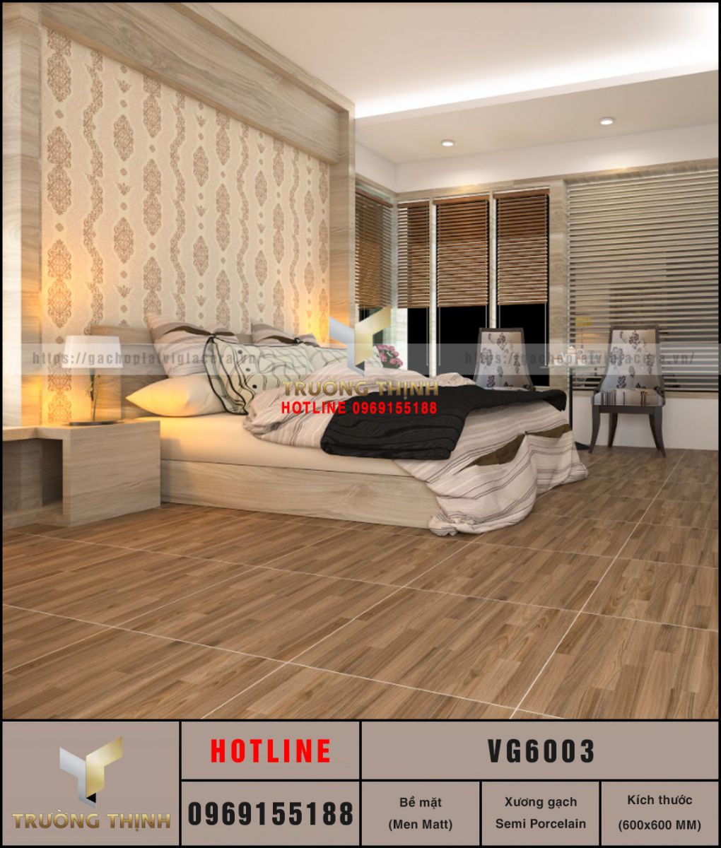 VG6003