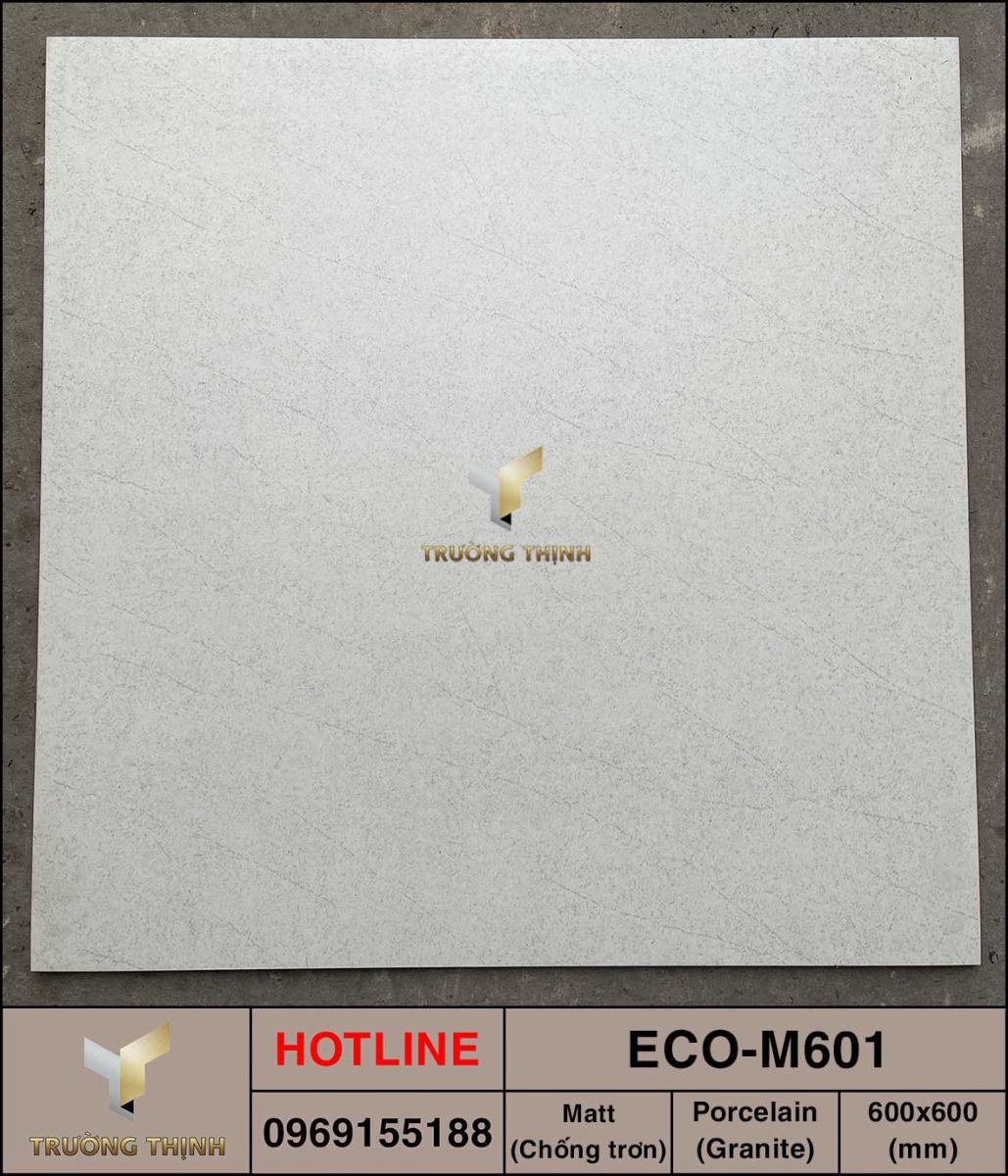 Gạch lát nền men khô 600x600 Viglacera ECO-M601 giá rẻ