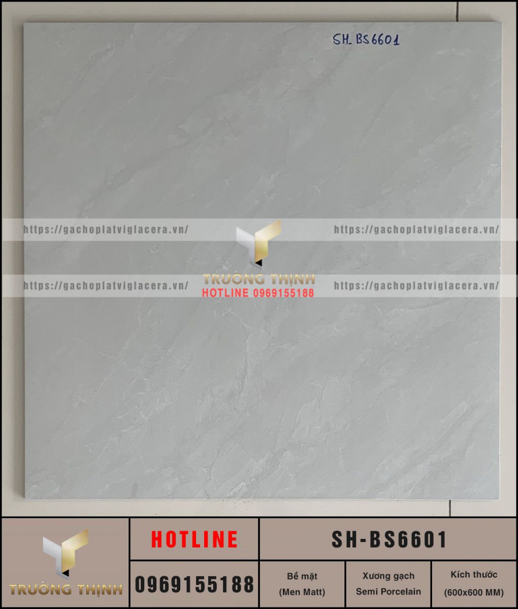 Gạch lát nền 600x600 Viglacera Sông Hồng SH-BS6601