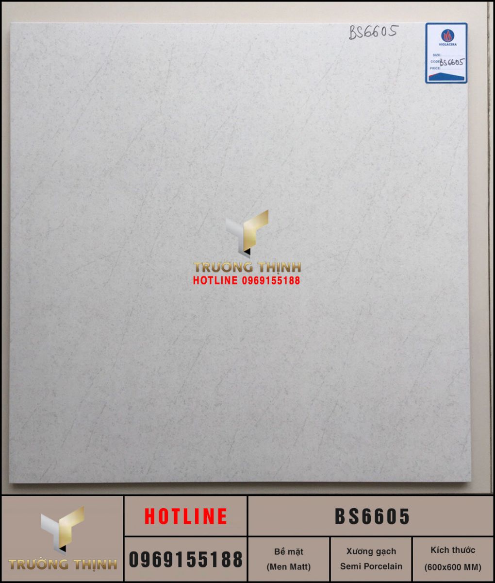 Gạch Viglacera BS6605 | Gạch lát nền men Matt màu ghi 600x600 chính hãng