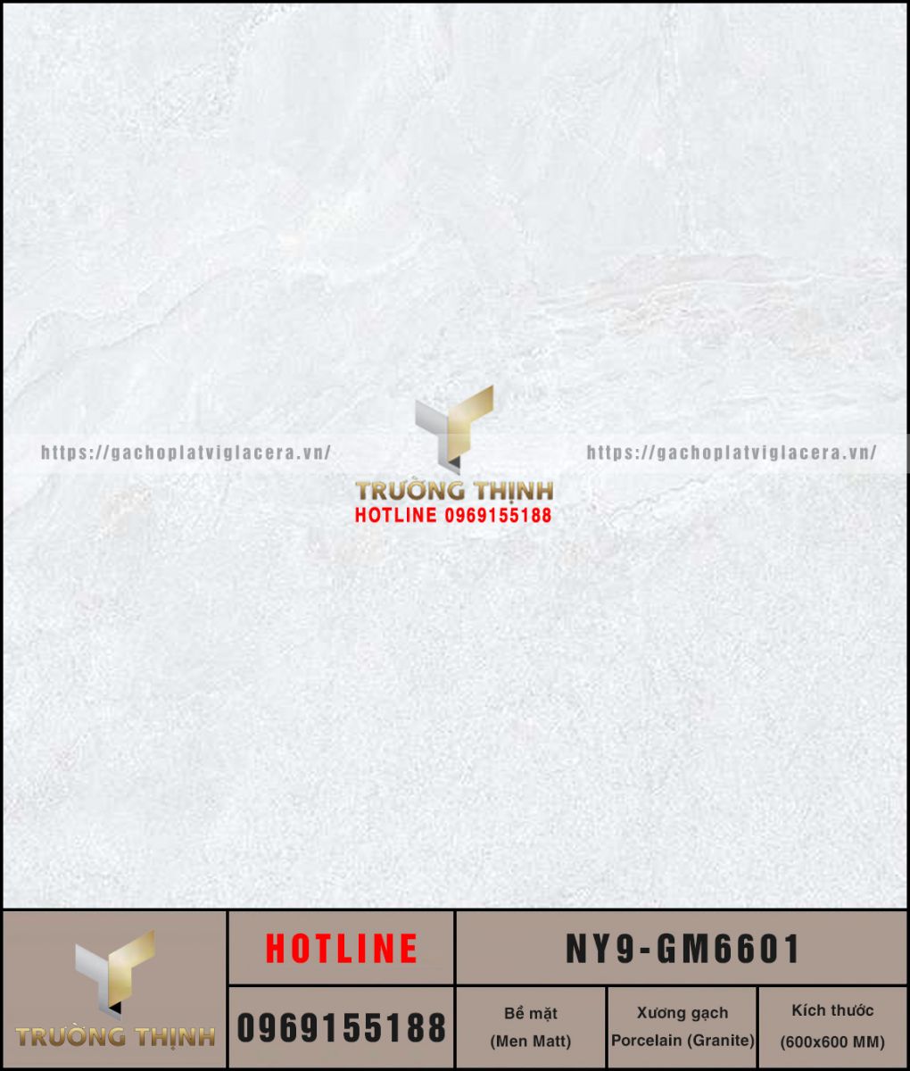 Gạch Viglacera NY9-GM6601 600x600 Porcelain Vân Đá Men Matt - Giá Tốt