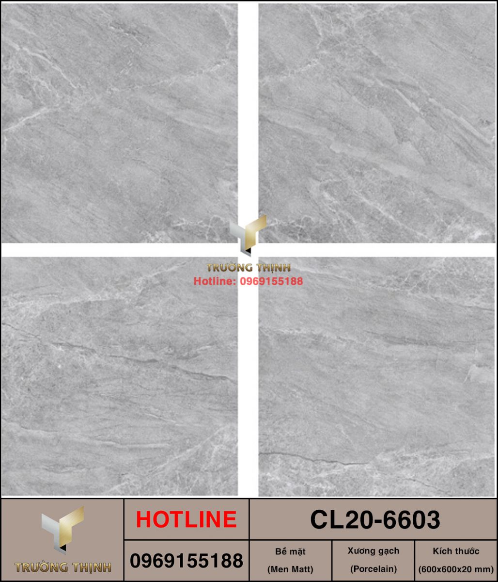 Gạch 600x600 Viglacera Cửu Long CL20-6603