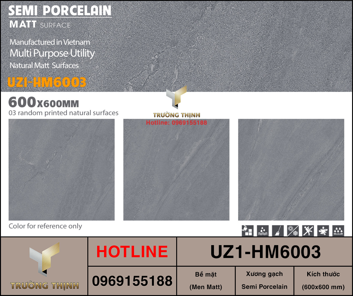 Gạch lát nền 600x600 Viglacera UZ1-HM6003
