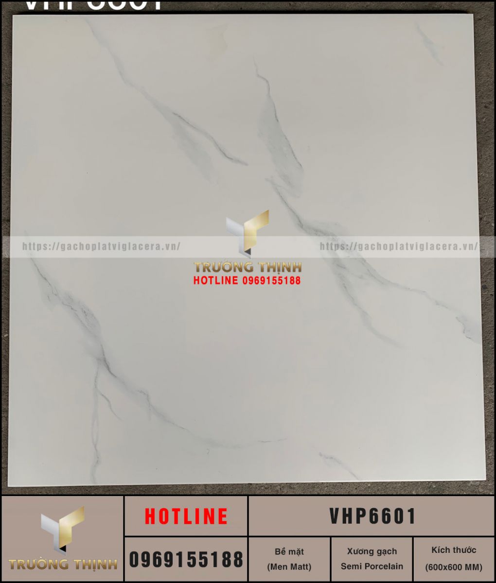 VHP6601