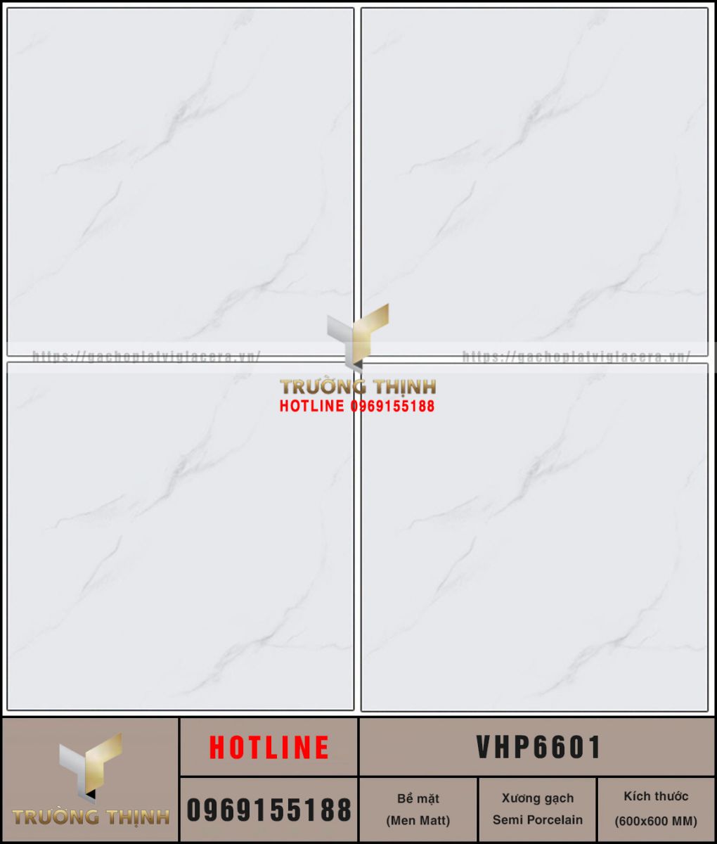 VHP6601
