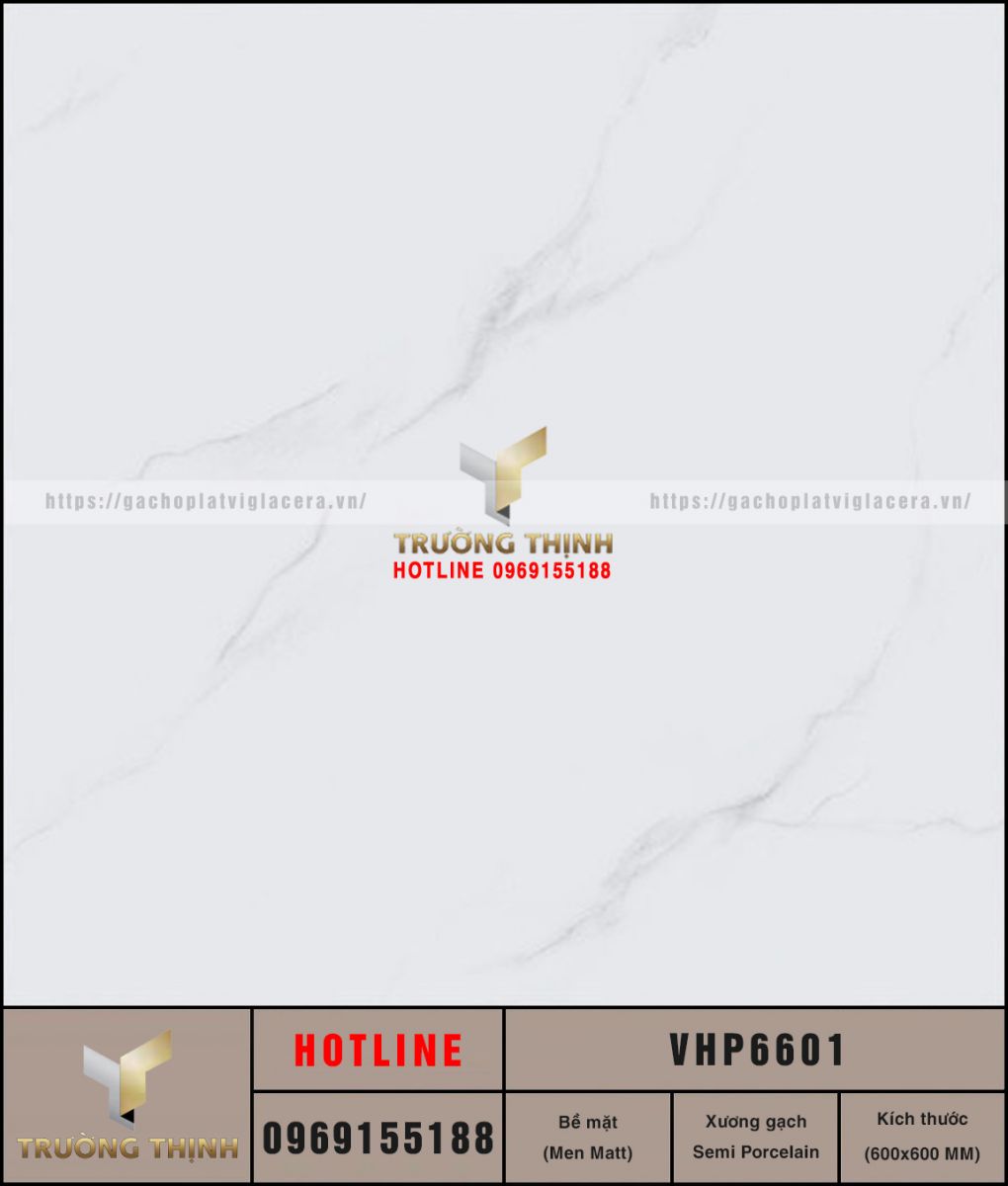 VHP6601