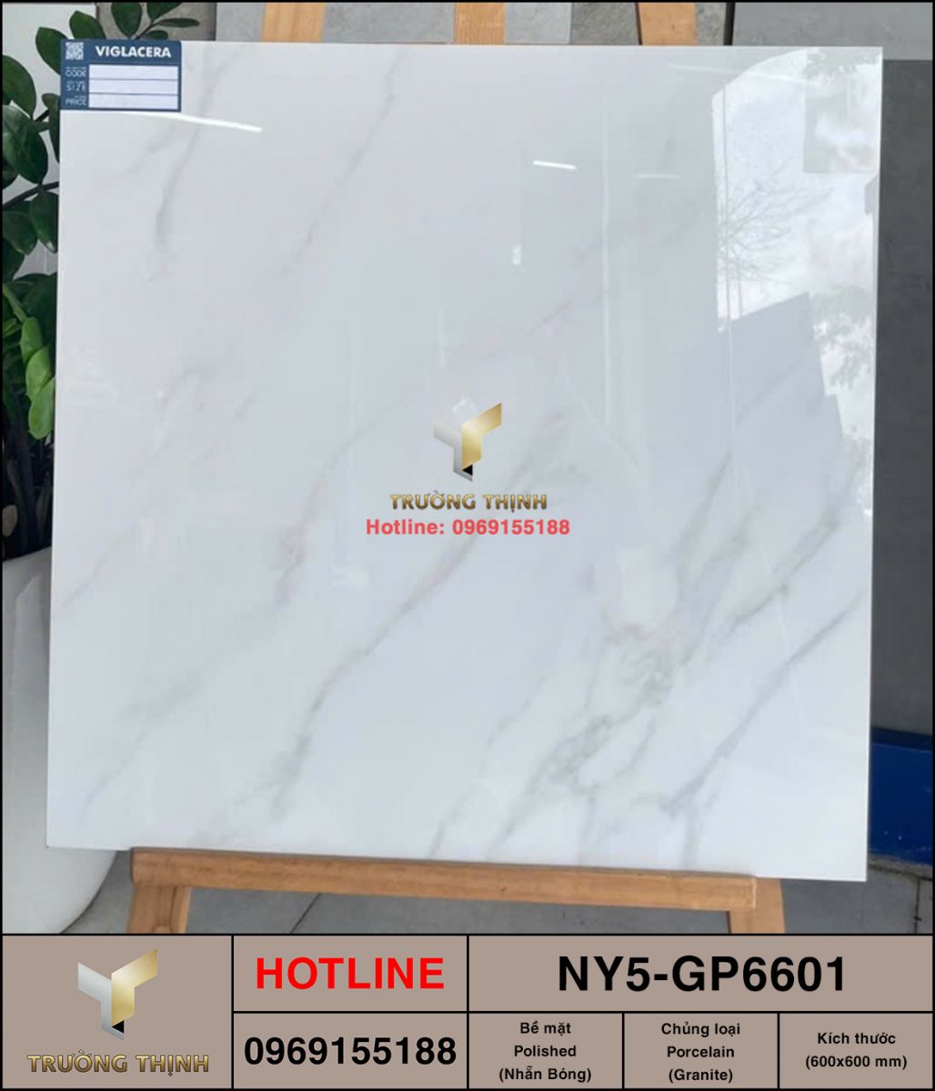 Gạch granite trắng vân mây 600x600 Viglacera NY5-GP6601 | Trường Thịnh