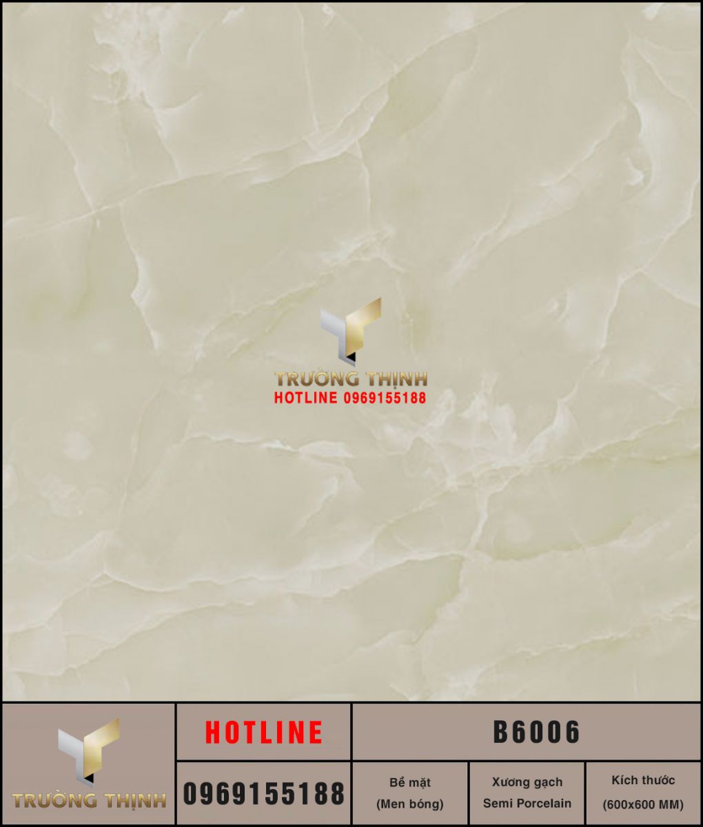 B6006