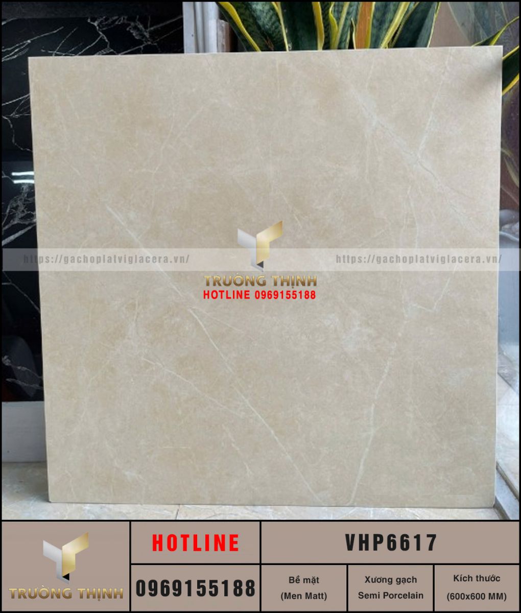 Gạch lát nền 600x600 Viglacera VHP6617