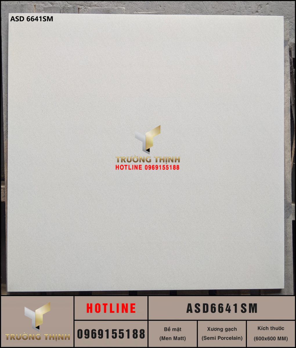 Gạch lát nền 600x600 Viglacera ASD6641SM