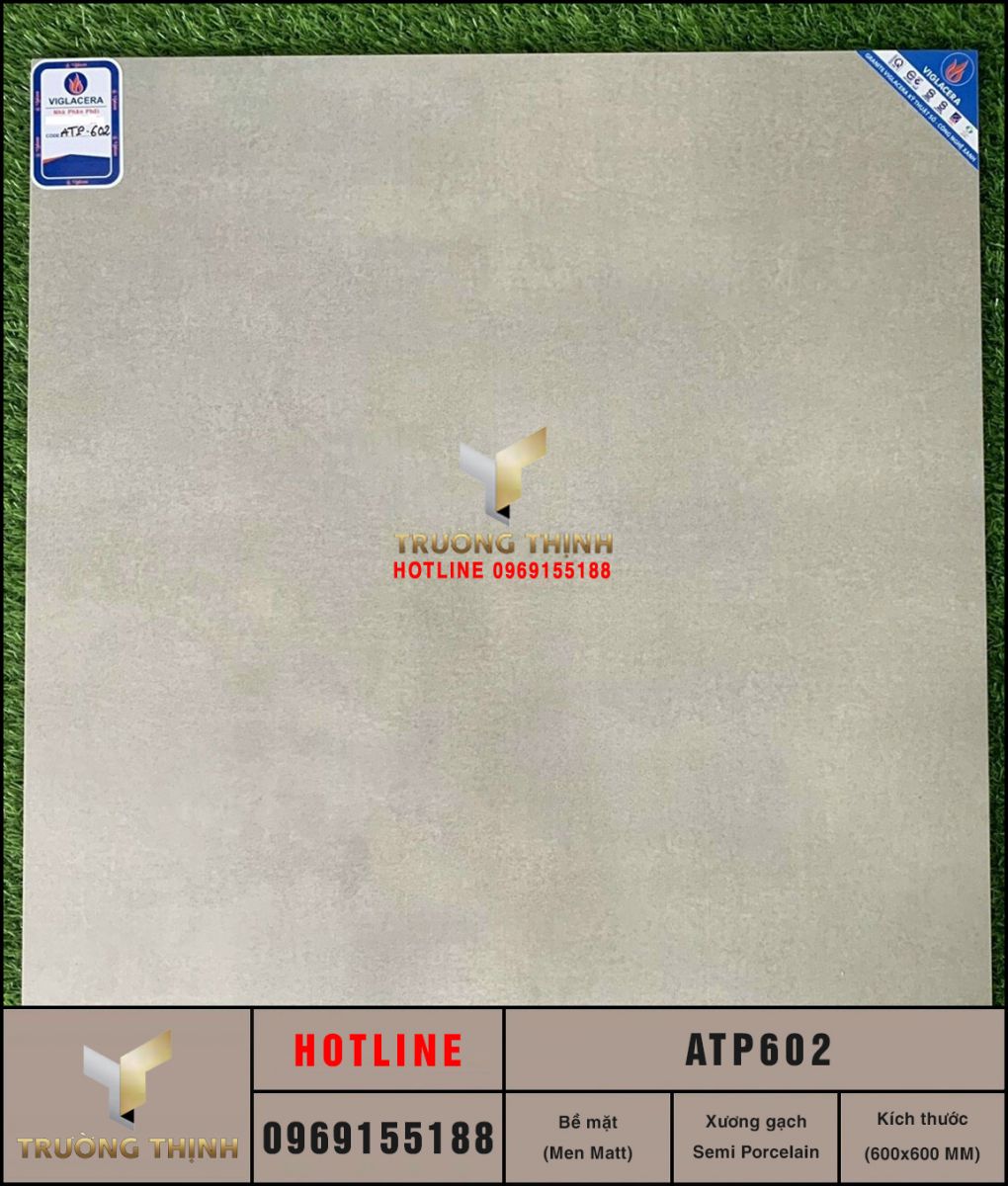 ATP602
