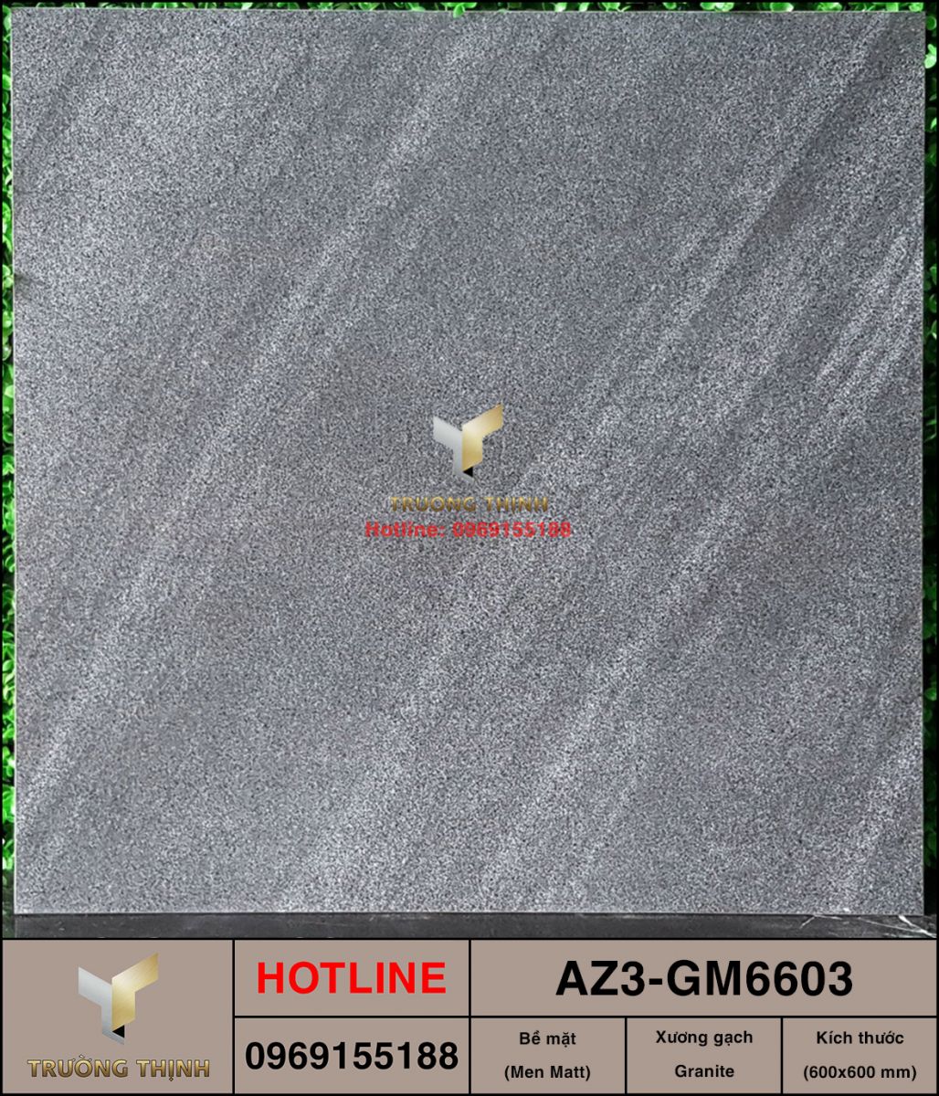 AZ3-GM6603