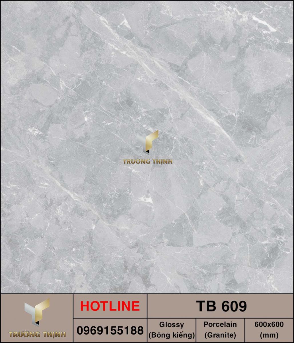 Ảnh MAP gạch lát nền 600x600 Viglacera TB-609