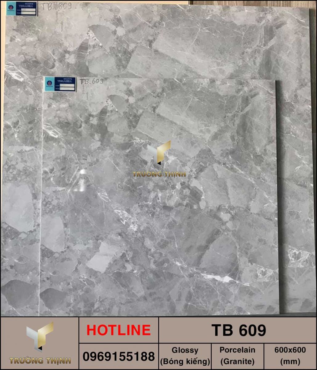 Gạch lát nền 600x600 Viglacera TB-609