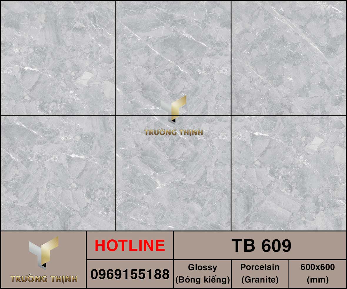 Gạch lát nền 600x600 Viglacera TB-609