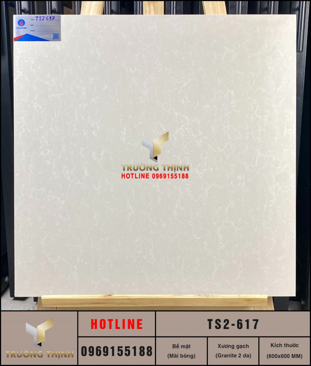 Gạch Viglacera TS2-617 | Lát sàn Granite 2 da 600x600 vân đá cao cấp