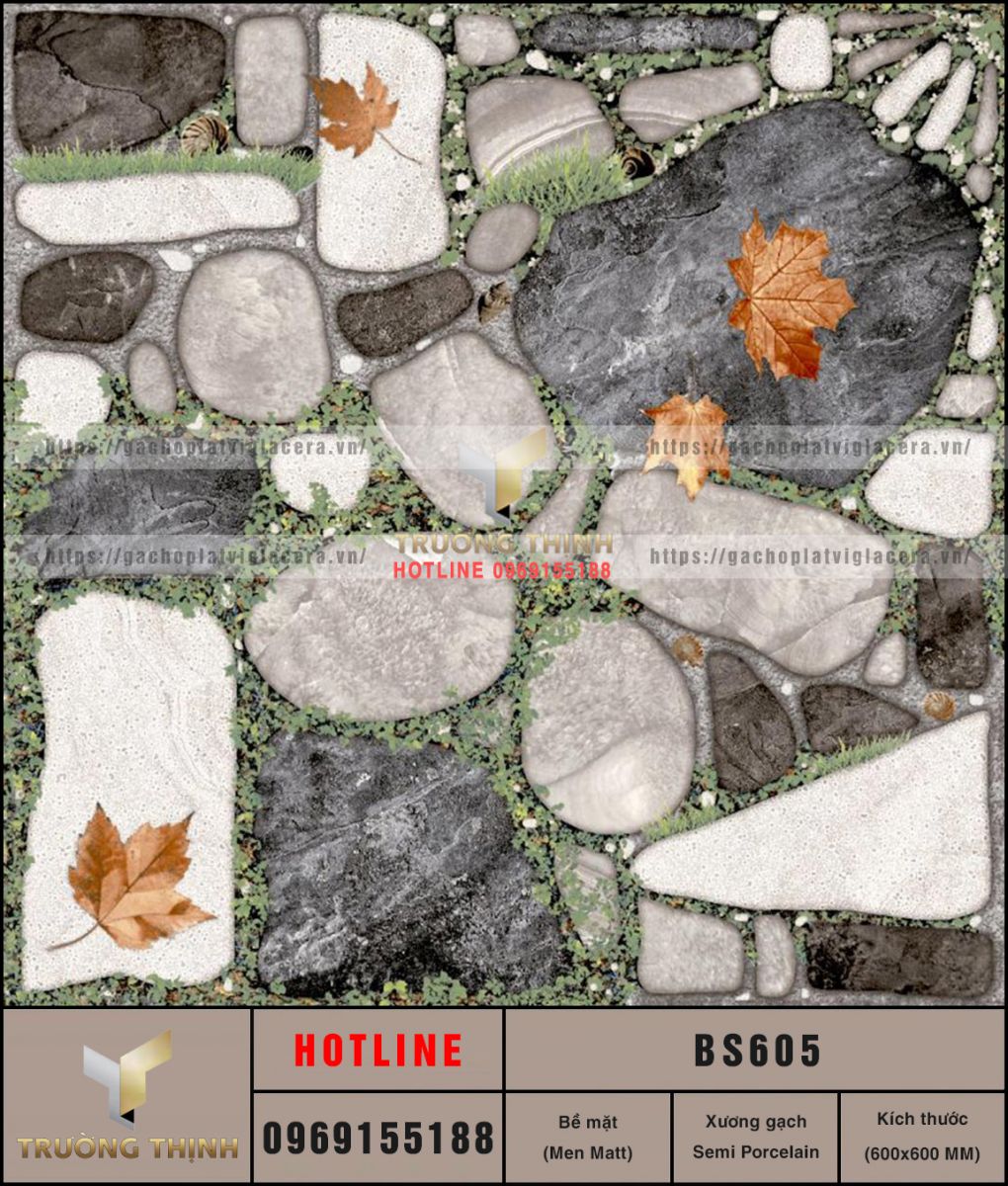 BS605