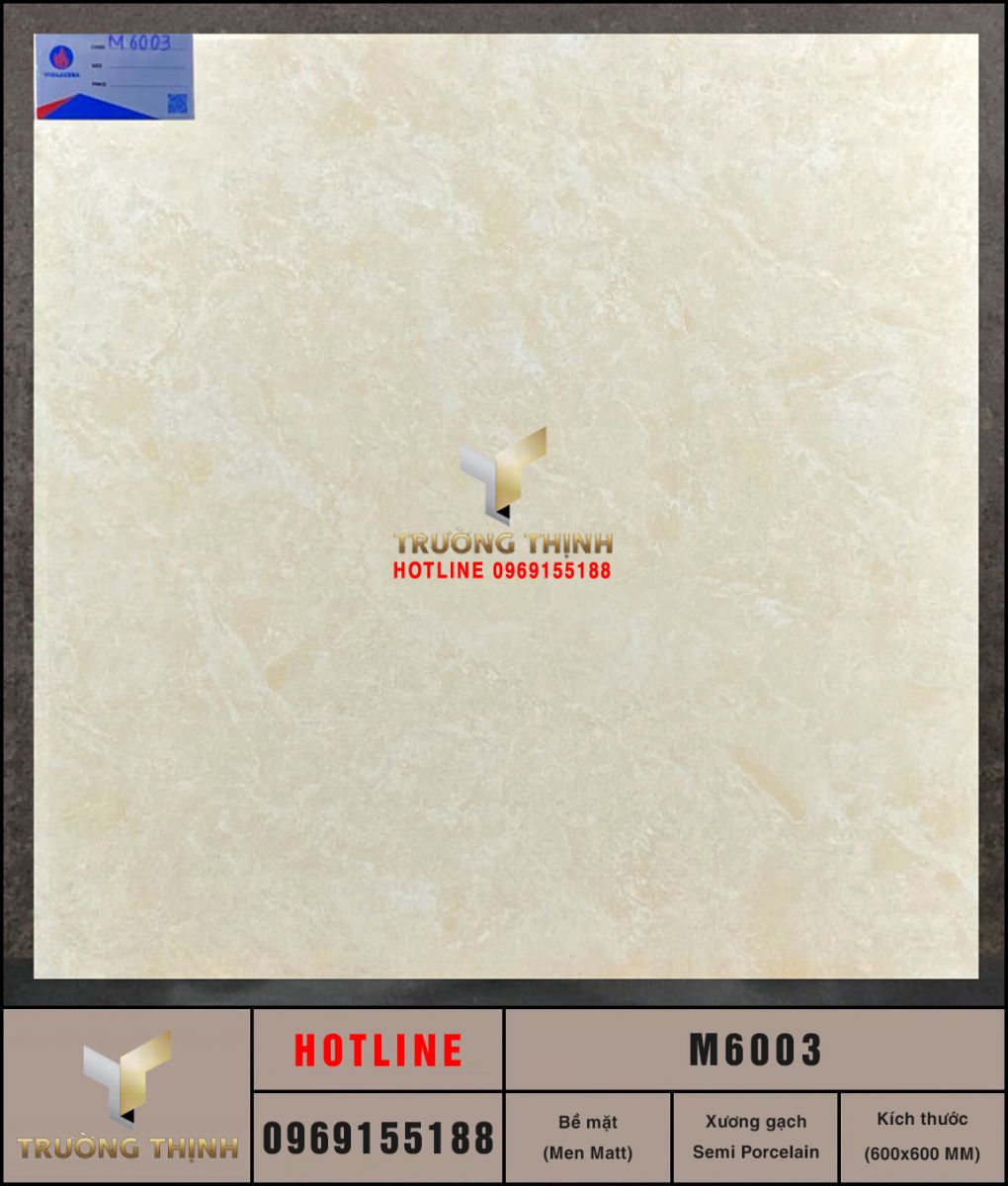 M6003