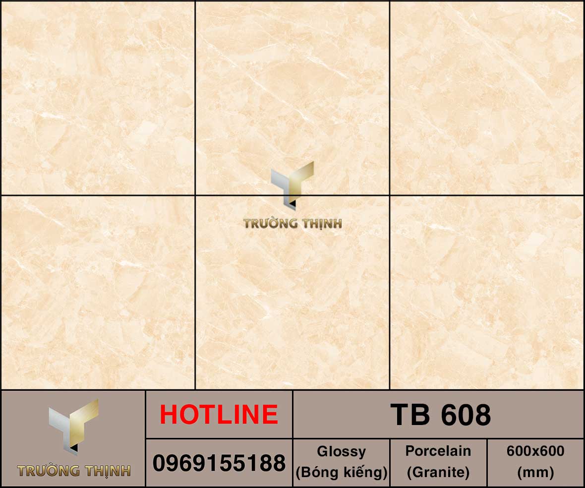 Ảnh MAP gạch lát nền 600x600 Viglacera TB-608