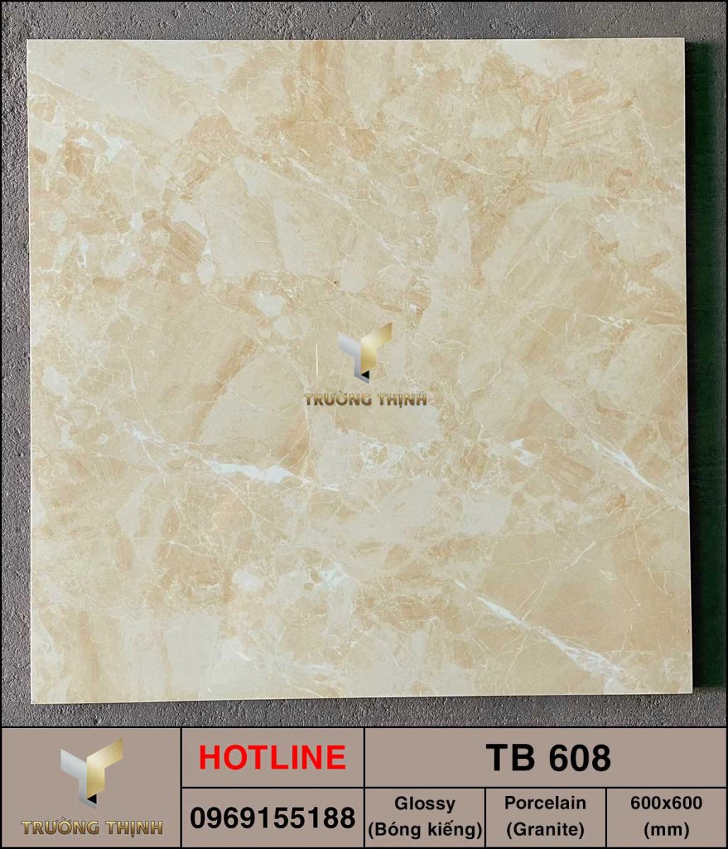 Gạch gmen bóng 600x600 Viglacera TB 608 giá rẻ