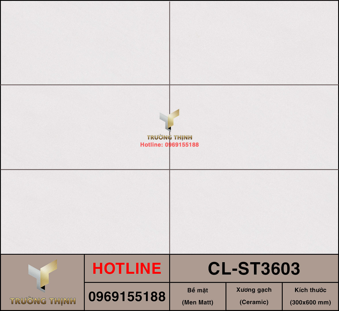 Gạch 300x600 Viglacera Cửu Long CL-ST3603