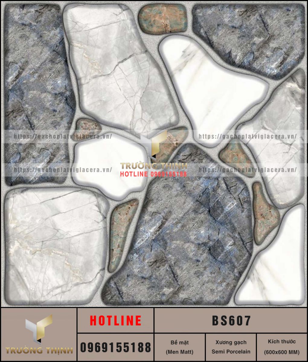 BS607