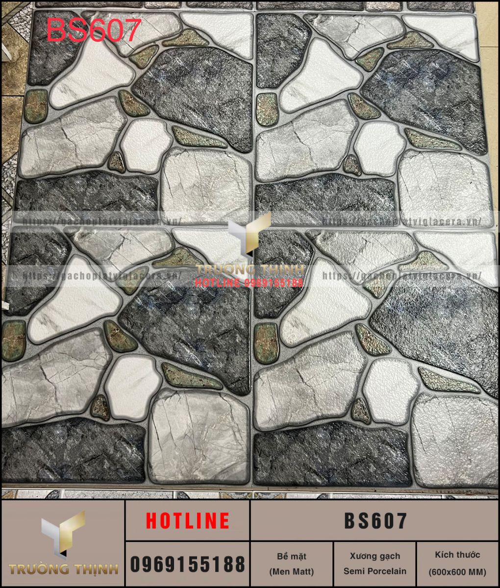 BS607
