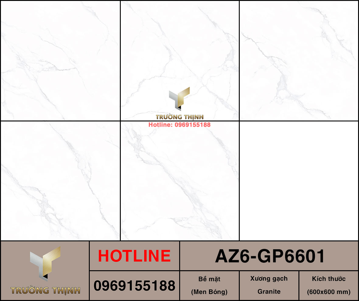 Gạch ốp lát 600x600 Viglacera United Arizona AZ6-GP6601