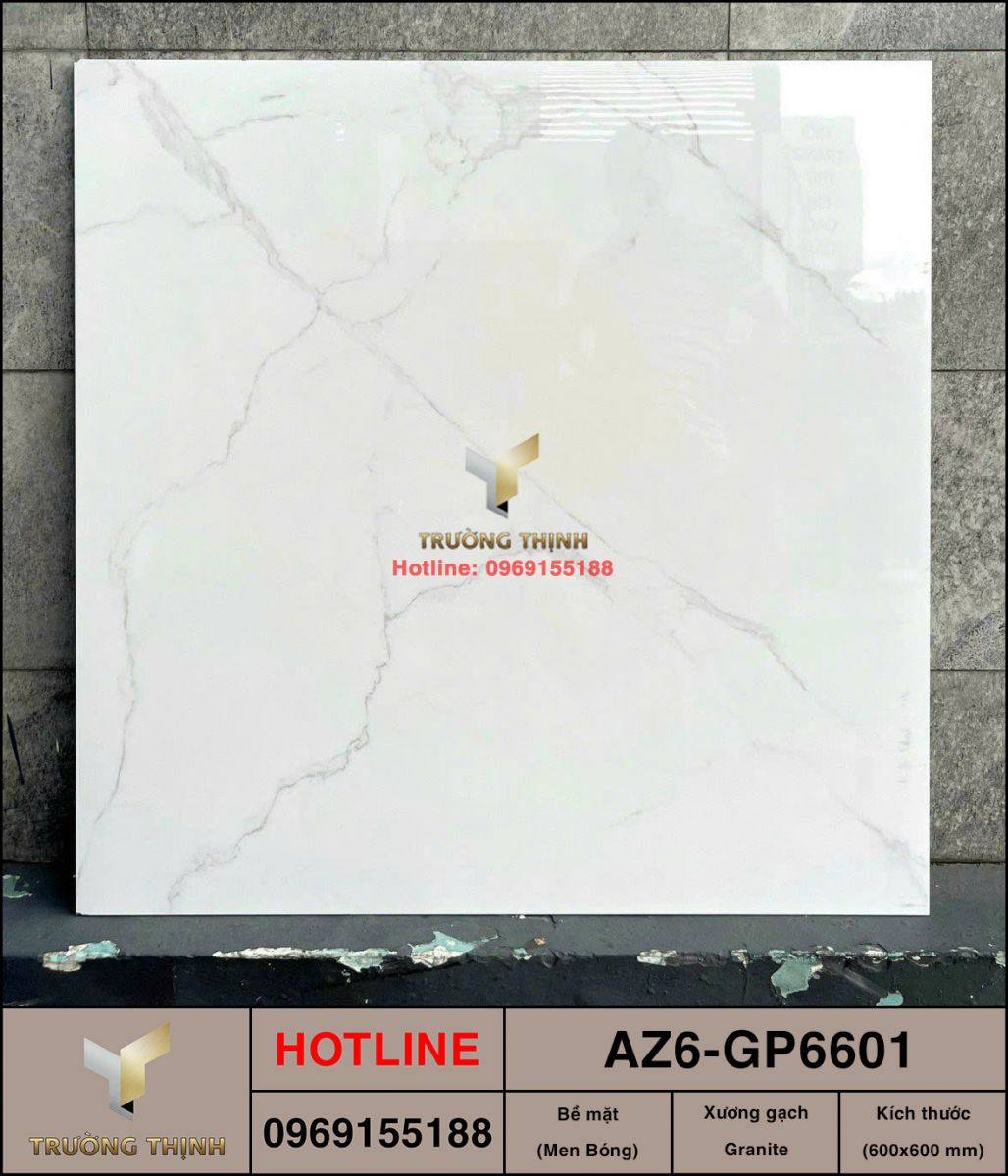 Gạch ốp lát 600x600 Viglacera United Arizona AZ6-GP6601