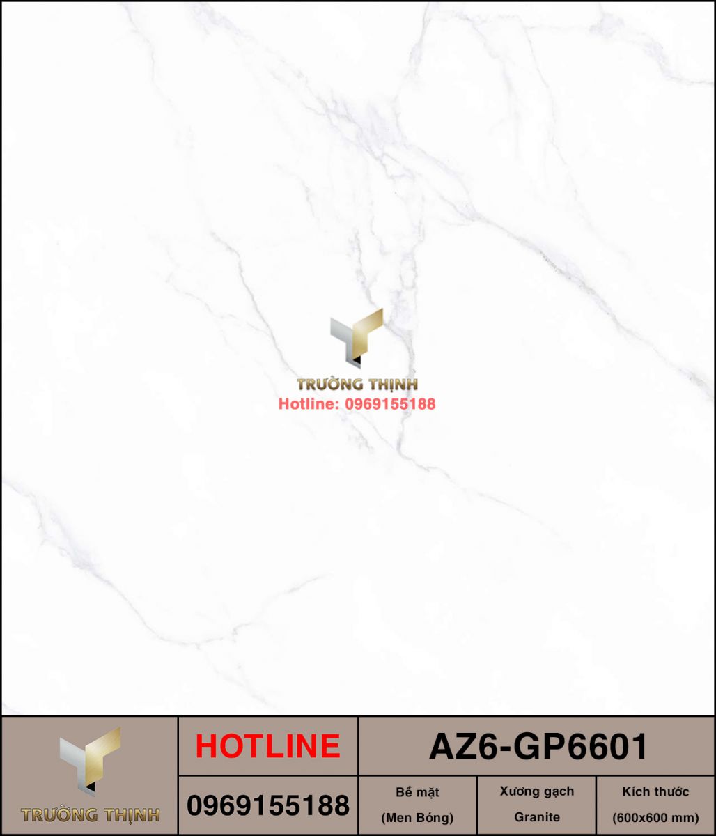 Gạch ốp lát 600x600 Viglacera United Arizona AZ6-GP6601