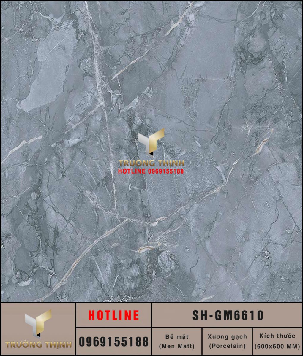 Gạch lát nền 600x600 Viglacera Sông Hồng SH-GM6610 ảnh MAP